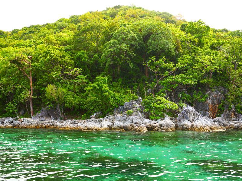 Flower Island Resort Taytay  Εξωτερικό φωτογραφία